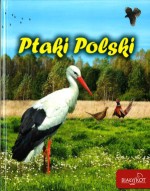 Ptaki Polski