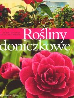 Rośliny doniczkowe