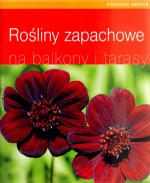 Rośliny zapachowe na balkony i tarasy