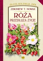 Róża przedłuża życie