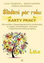 ŚLADAMI PÓR ROKU LATO KARTY PRACY HARMONIA978-83-7134-940-9