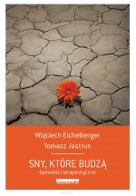 Sny, które budzą. Opowieści terapeutyczne