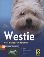 Westie West highland terrier Poradnik opiekuna