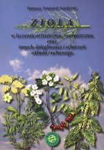 Zioła w leczeniu artretyzmu reumatyzmu oraz innych dolegliwości i schorzeń układu ruchowego