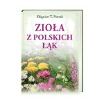 Zioła z polskich łąk