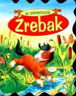 Źrebak - w zagrodzie