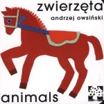 Zwierzęta animals