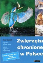 Zwierzęta chronione w Polsce