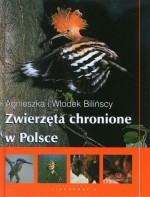 Zwierzęta chronione w Polsce