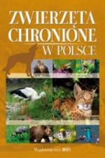 Zwierzęta chronione w Polsce