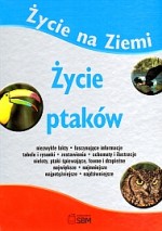 Życie na ziemi. Życie ptaków