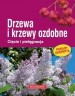 Drzewa i krzewy ozdobne. Cięcie i pielęgnacja